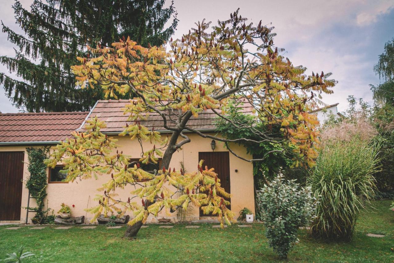 Pannonia Apartment Göd Exteriér fotografie